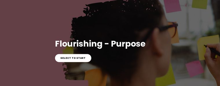 Flourishing in Education